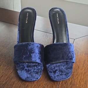 Ann Taylor Navy Velvet Heels